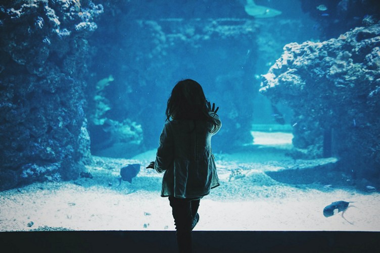 An image for Amministrazione Trasparente